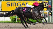 Alan Munro on Superczar just fails to peg back the victor City Lad (inside) in Race 7 on Sunday.<br>Photo by Singapore Turf Club